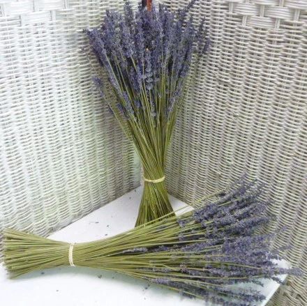 Svazek sušené levandule z Provence