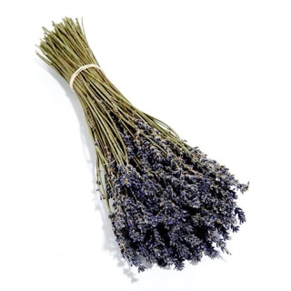 Svazek sušené levandule z Provence